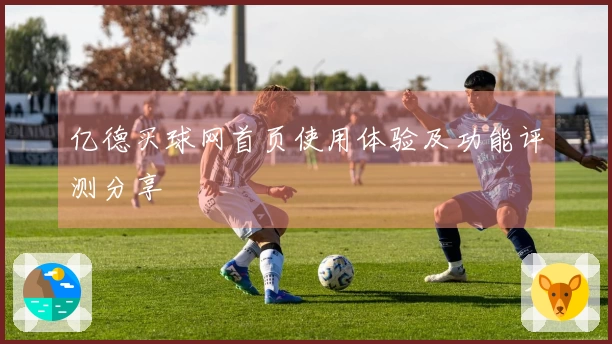 亿德买球网首页使用体验及功能评测分享