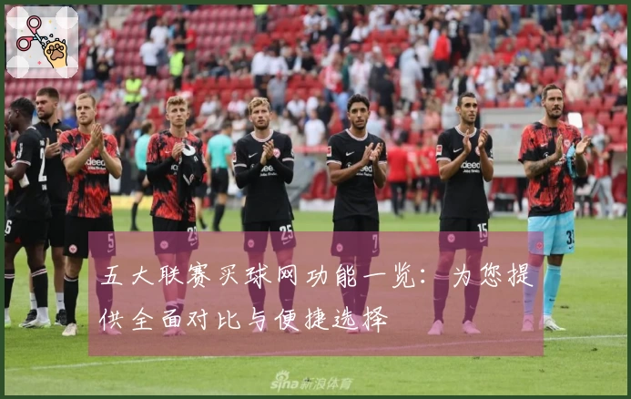 五大联赛买球网功能一览：为您提供全面对比与便捷选择
