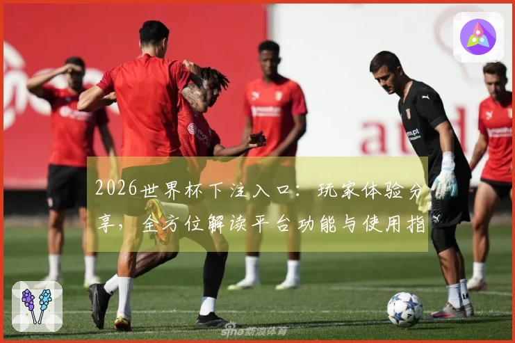 2026世界杯下注入口：玩家体验分享，全方位解读平台功能与使用指南