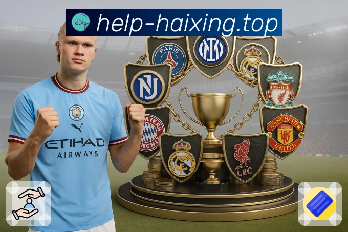 海星体育体验保障与平台能力